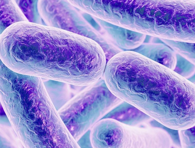 Bacteria purple background